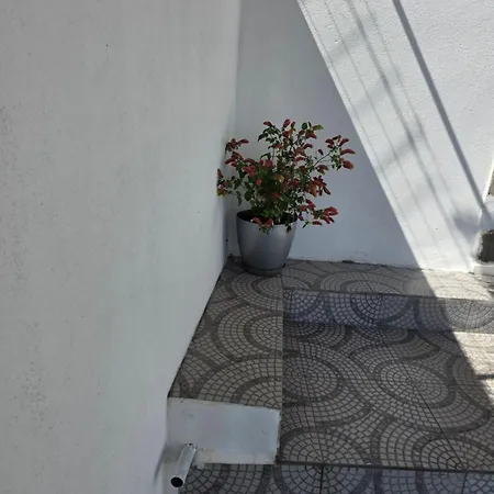 Leli Sarandë